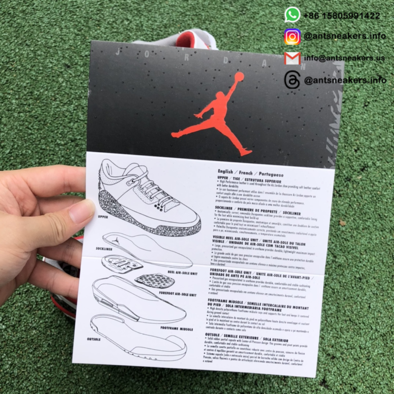 Air Jordan 3 Retro 'Fire Red' 2022 DN3707-160