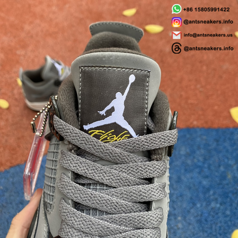 Air Jordan 4 Retro 'Cool Grey' 2019 308497-007