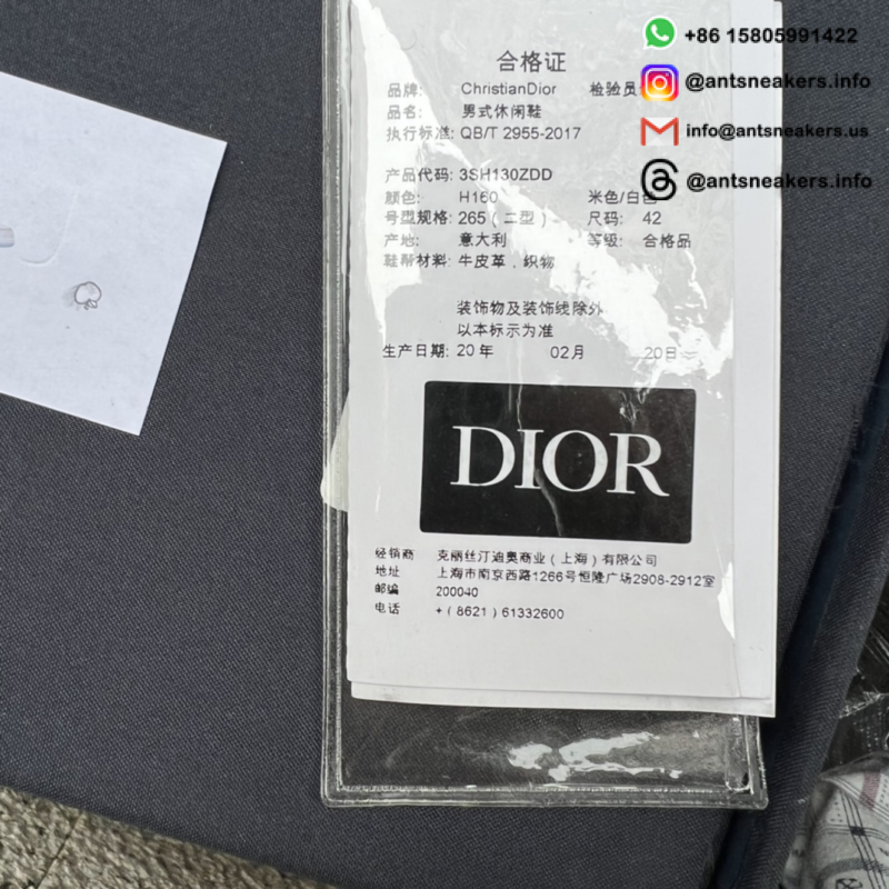 Dior x Air Jordan 1 High CN8607-002