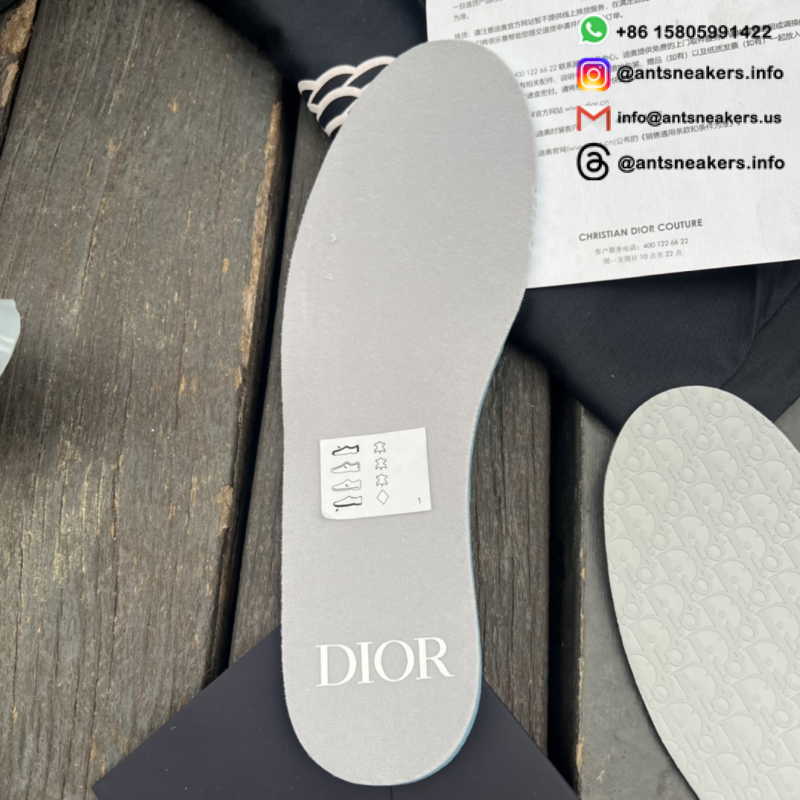 Dior x Air Jordan 1 High CN8607-002