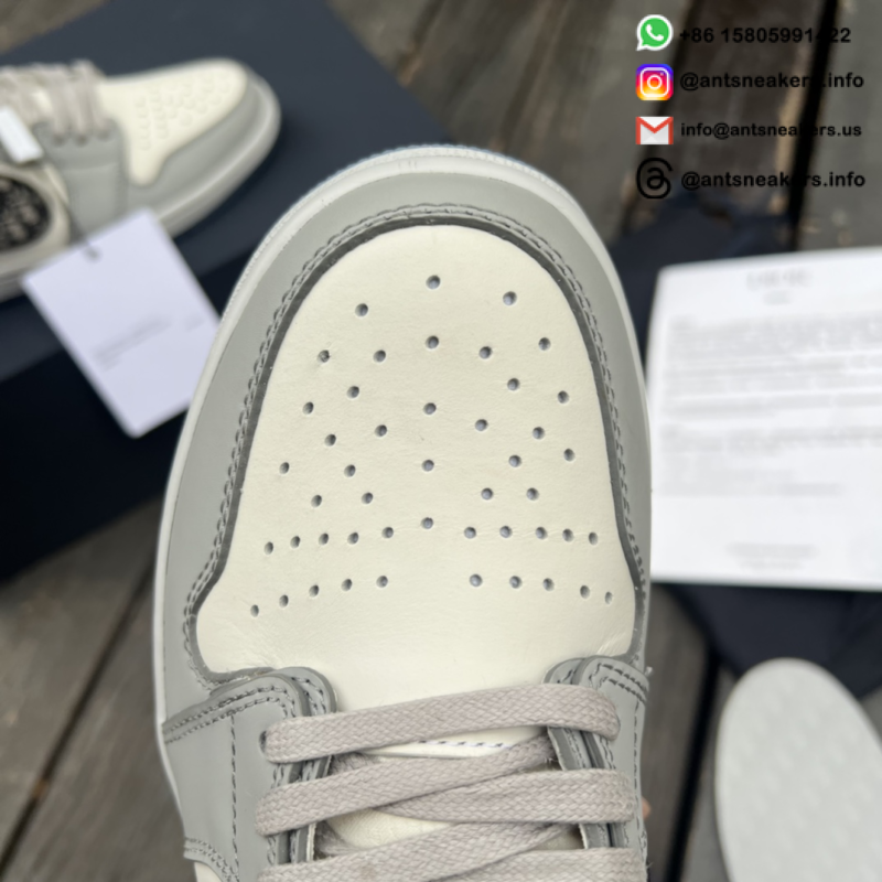 Dior x Air Jordan 1 High CN8607-002