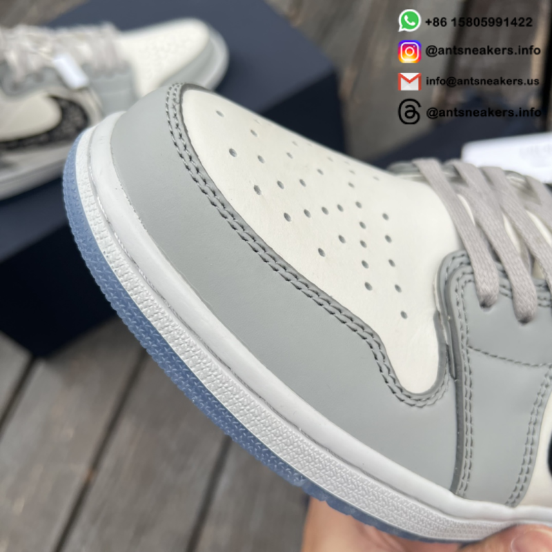 Dior x Air Jordan 1 High CN8607-002
