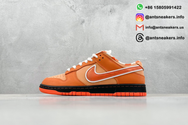 Concepts x Nike Dunk Low SB 'Orange Lobster' FD8776-800 - Image 2