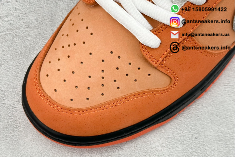Concepts x Nike Dunk Low SB 'Orange Lobster' FD8776-800