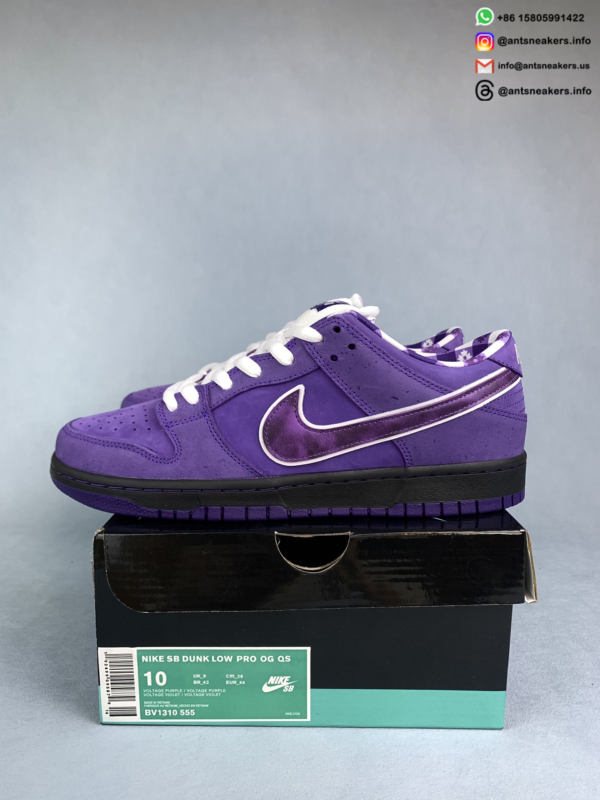 Concepts x Nike Dunk Low SB 'Purple Lobster' BV1310-555 - Image 2