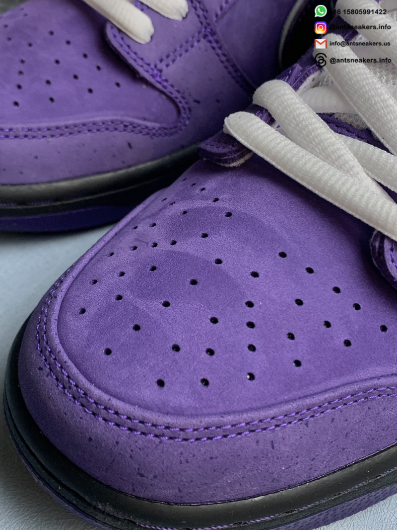 Concepts x Nike Dunk Low SB 'Purple Lobster' BV1310-555