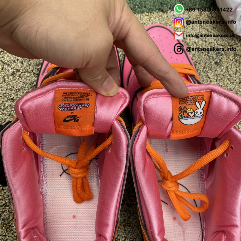 The Powerpuff Girls x Nike Dunk Low Pro SB QS 'Blossom' FD2631-600