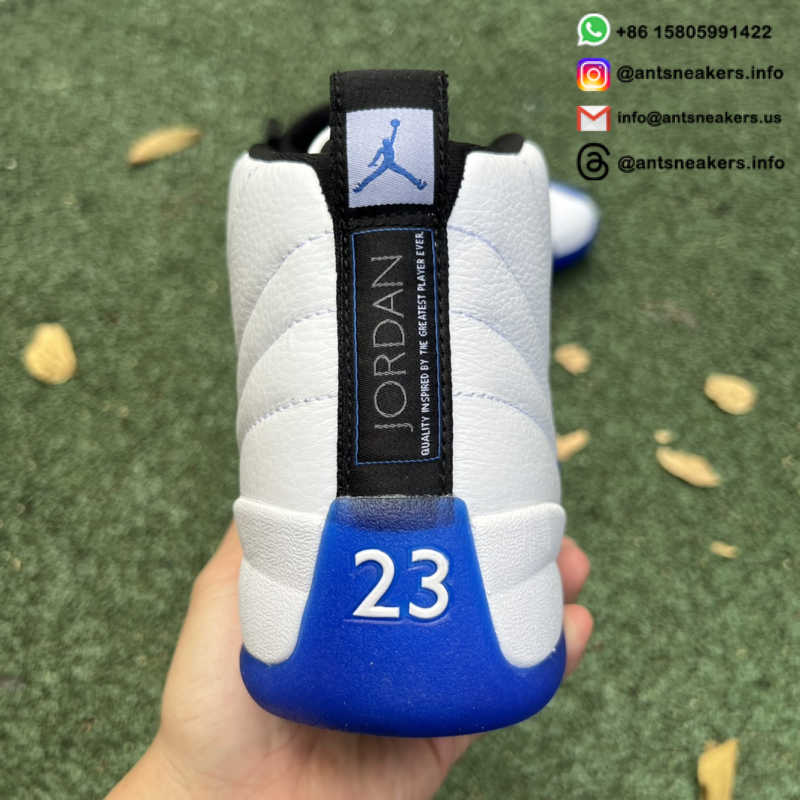 Air Jordan 12 Retro 'Blueberry' CT8013-140