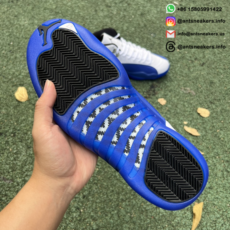Air Jordan 12 Retro 'Blueberry' CT8013-140