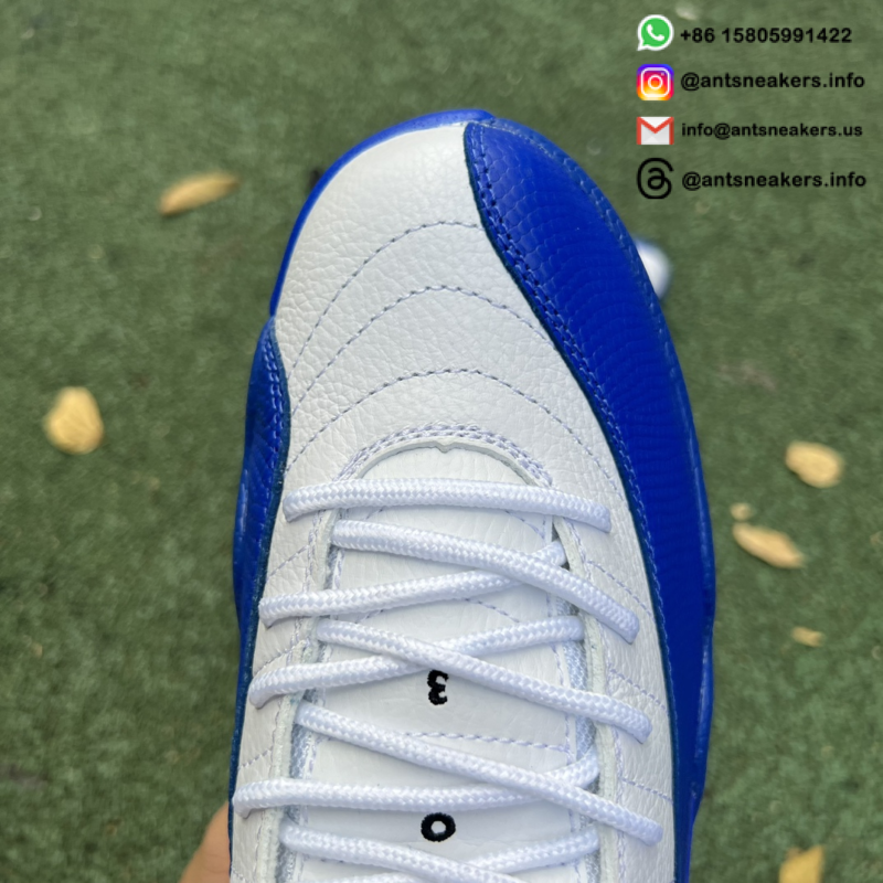 Air Jordan 12 Retro 'Blueberry' CT8013-140