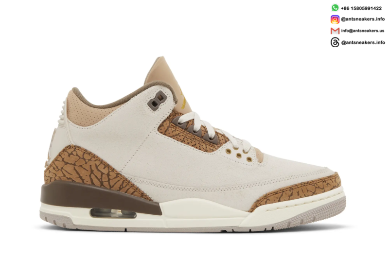 Air Jordan 3 Retro 'Palomino' CT8532-102