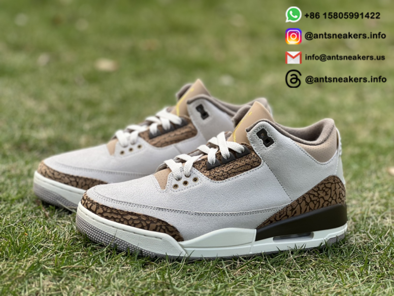 Air Jordan 3 Retro 'Palomino' CT8532-102