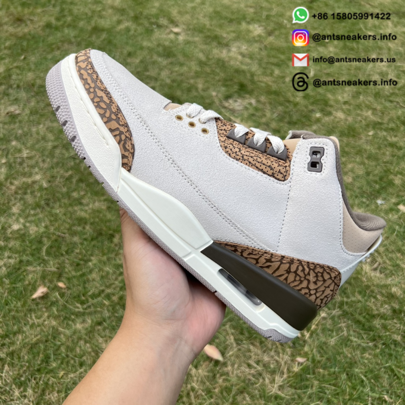 Air Jordan 3 Retro 'Palomino' CT8532-102
