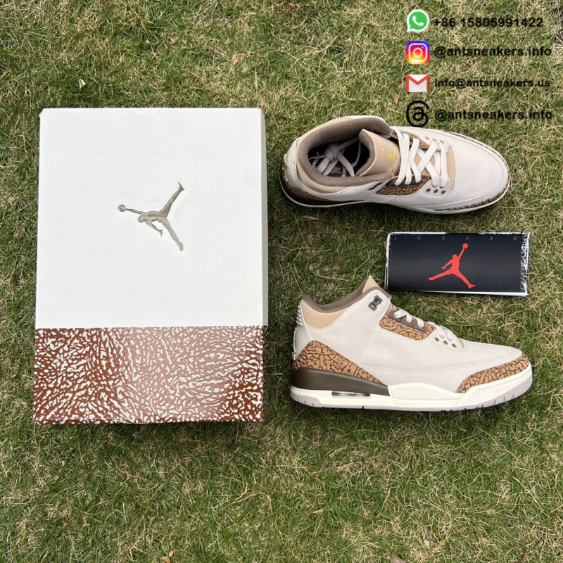 Air Jordan 3 Retro 'Palomino' CT8532-102