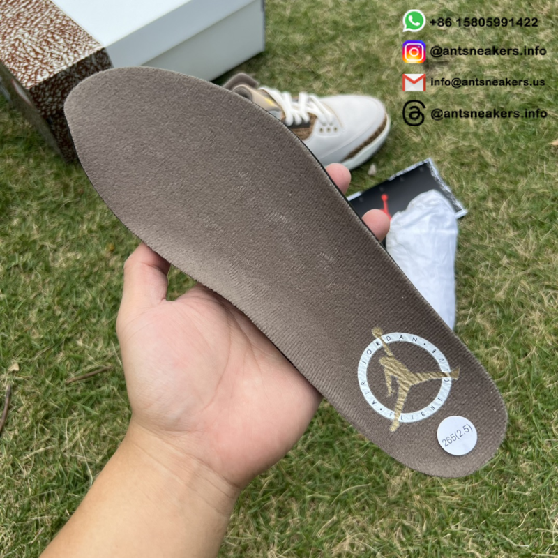 Air Jordan 3 Retro 'Palomino' CT8532-102
