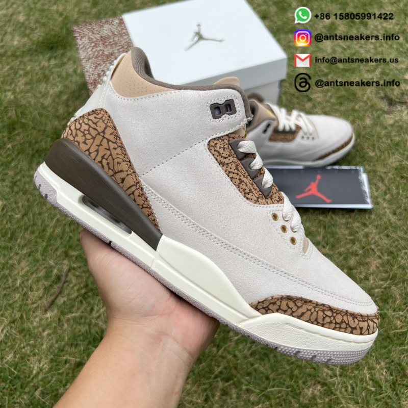 Air Jordan 3 Retro 'Palomino' CT8532-102