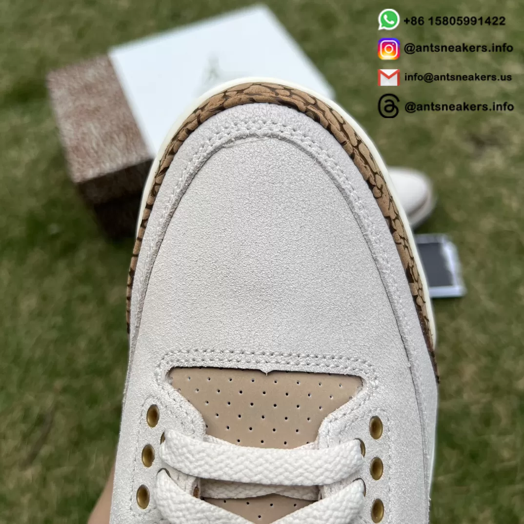Air Jordan 3 Retro 'Palomino' CT8532-102
