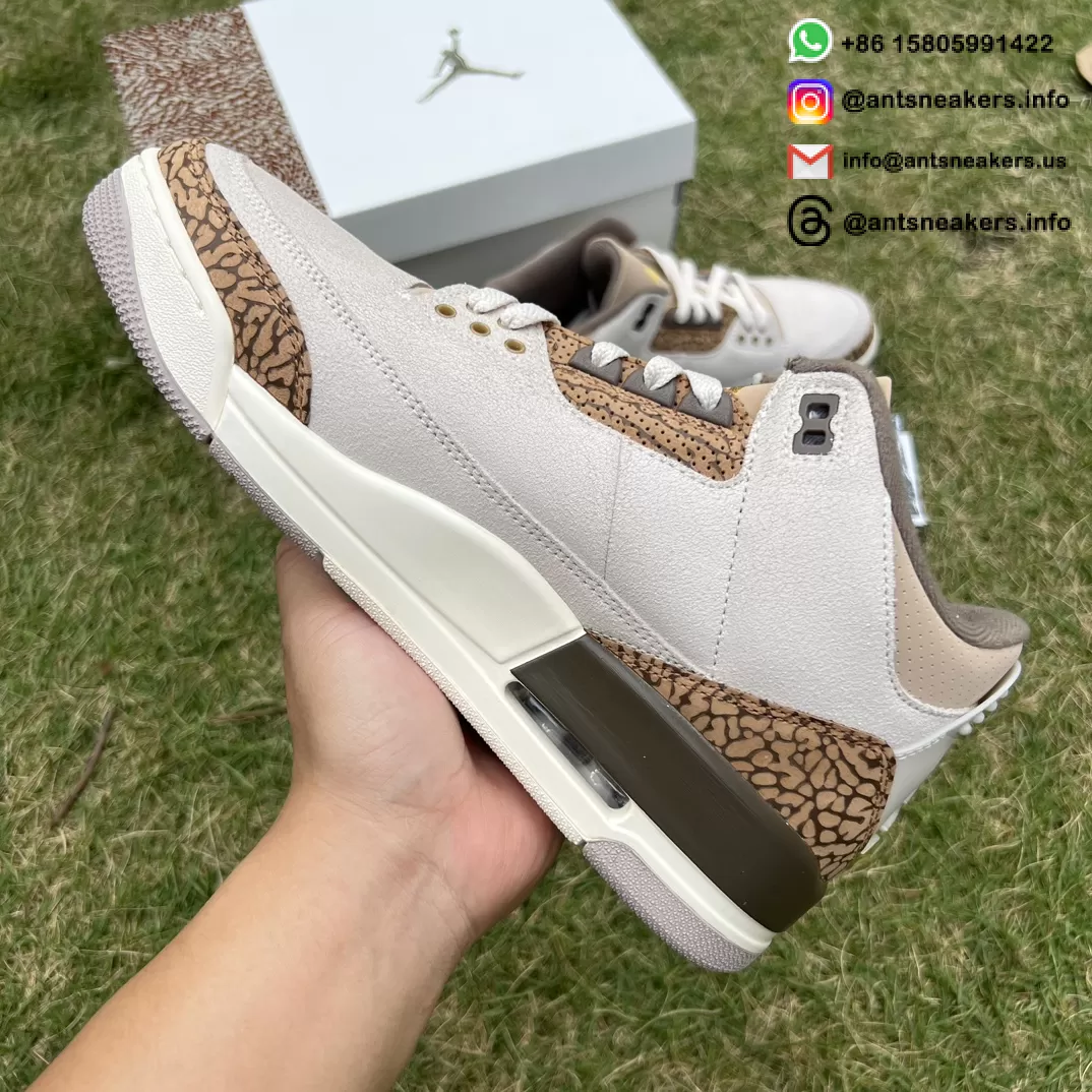 Air Jordan 3 Retro 'Palomino' CT8532-102
