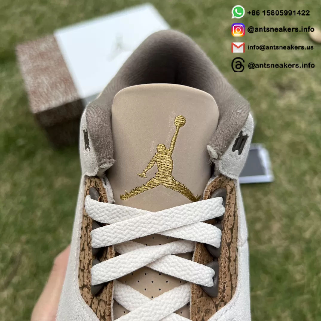 Air Jordan 3 Retro 'Palomino' CT8532-102