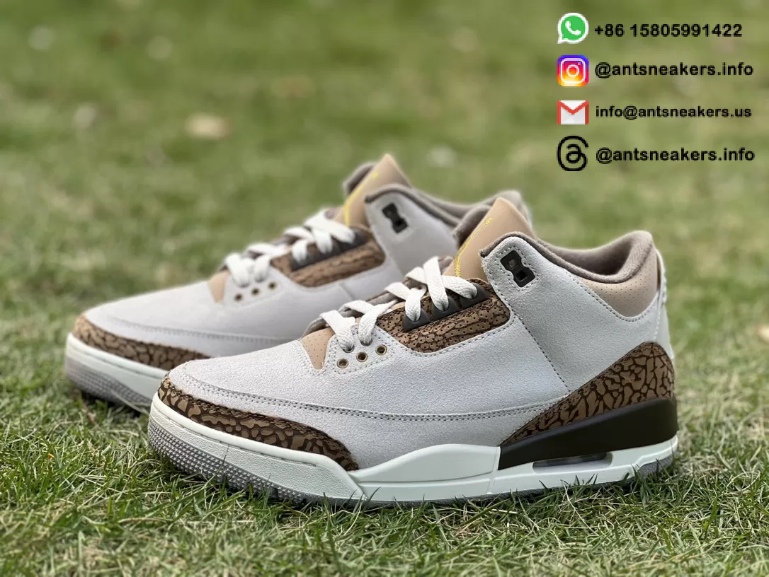 Air Jordan 3 Retro 'Palomino' CT8532-102