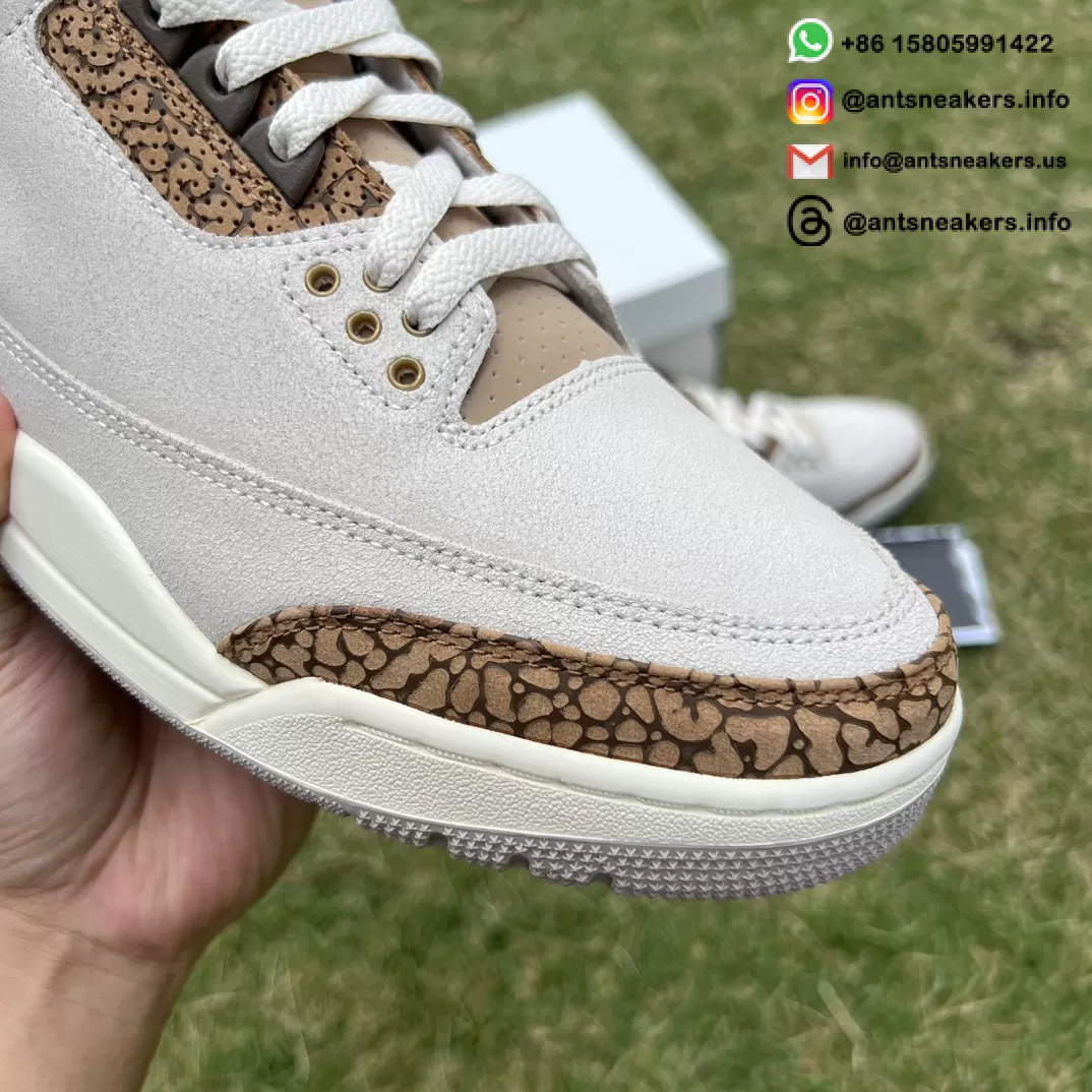 Air Jordan 3 Retro 'Palomino' CT8532-102