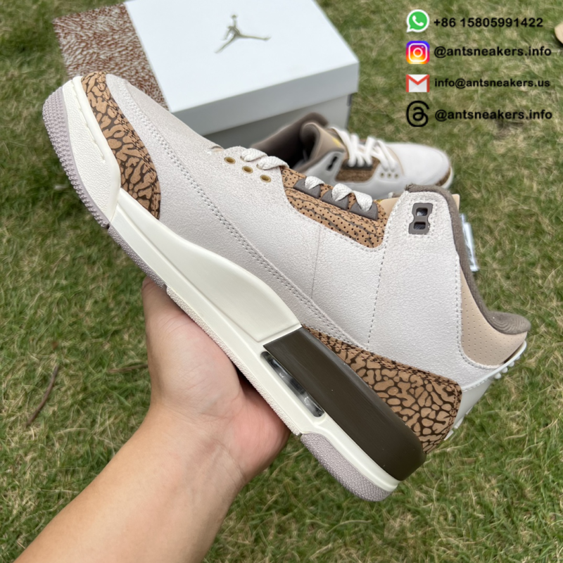Air Jordan 3 Retro 'Palomino' CT8532-102