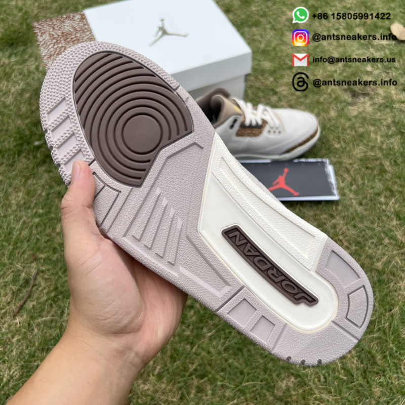 Air Jordan 3 Retro 'Palomino' CT8532-102