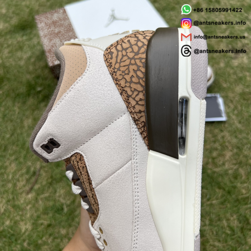 Air Jordan 3 Retro 'Palomino' CT8532-102