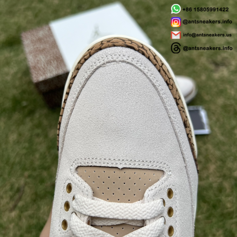 Air Jordan 3 Retro 'Palomino' CT8532-102