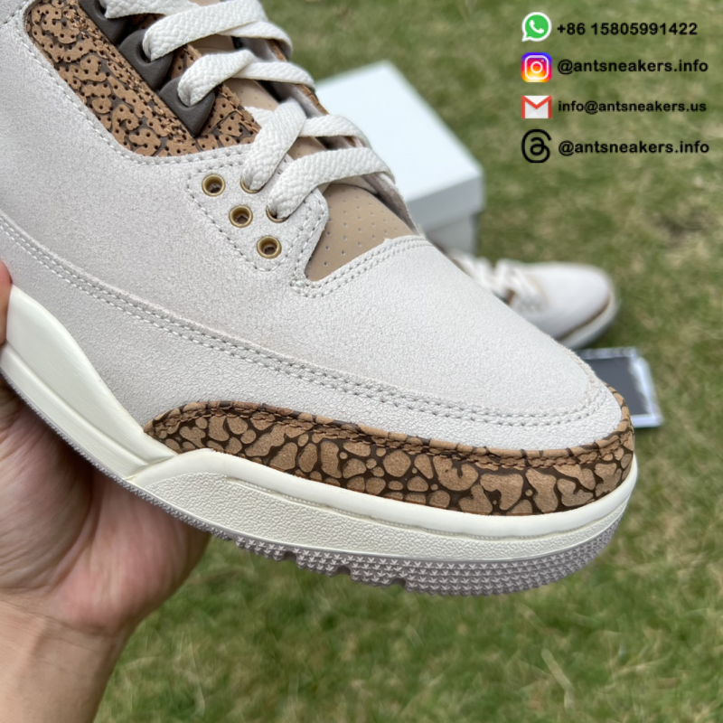 Air Jordan 3 Retro 'Palomino' CT8532-102
