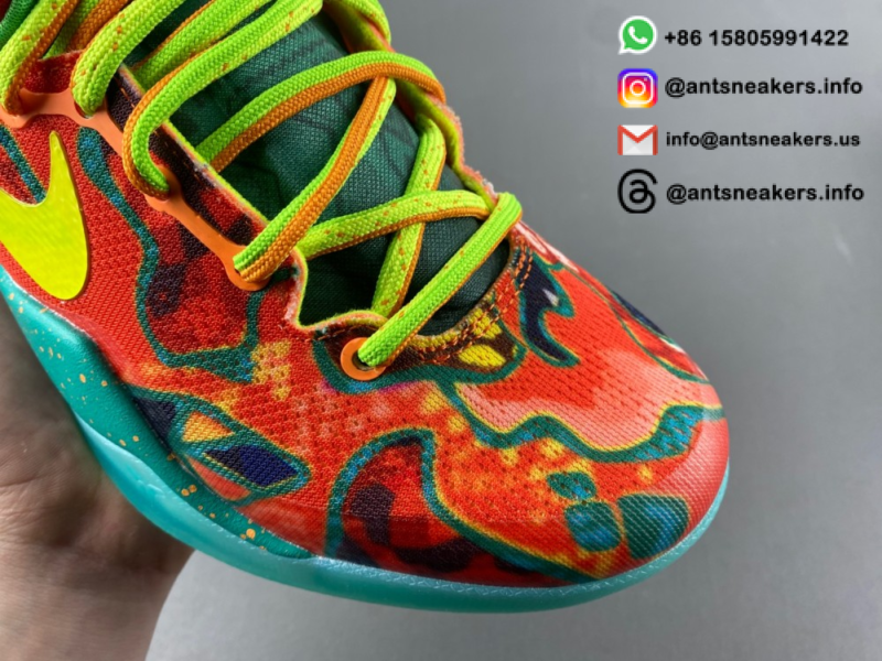 Kobe 8 Protro 'What The Kobe' 2025 HM9621-900