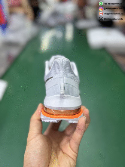 Nike Pegasus Premium 'Airscape' HQ2592-002 - Image 5