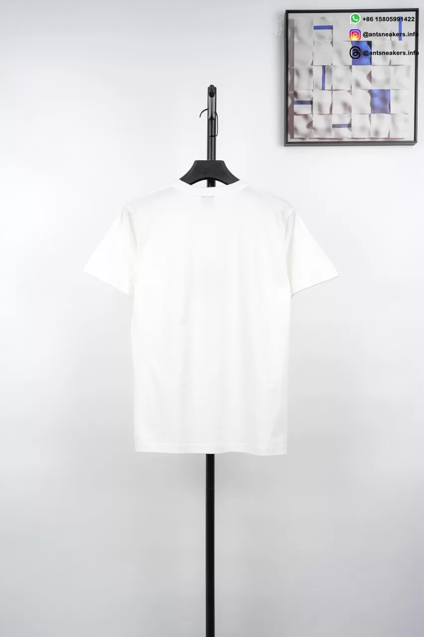 STUSSY Ladybug Letter Print T-Shirt White Streetwear