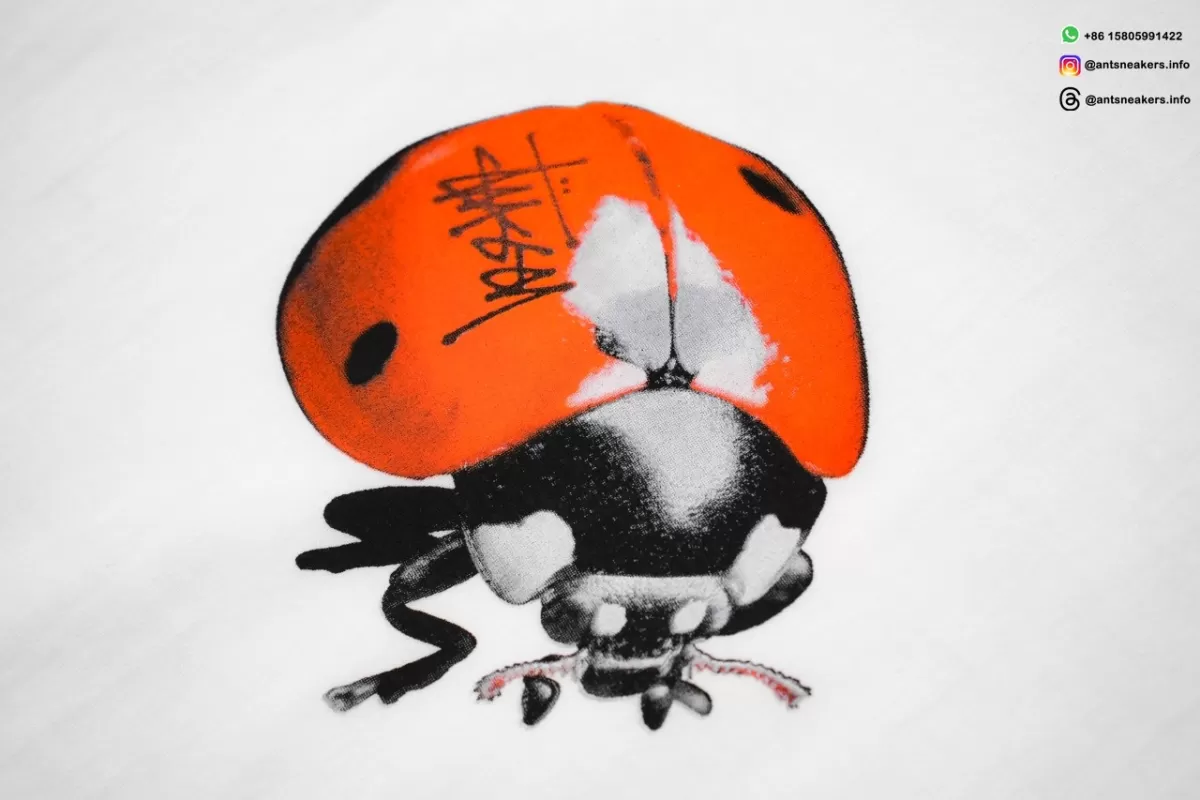 STUSSY Ladybug Letter Print T-Shirt White Streetwear