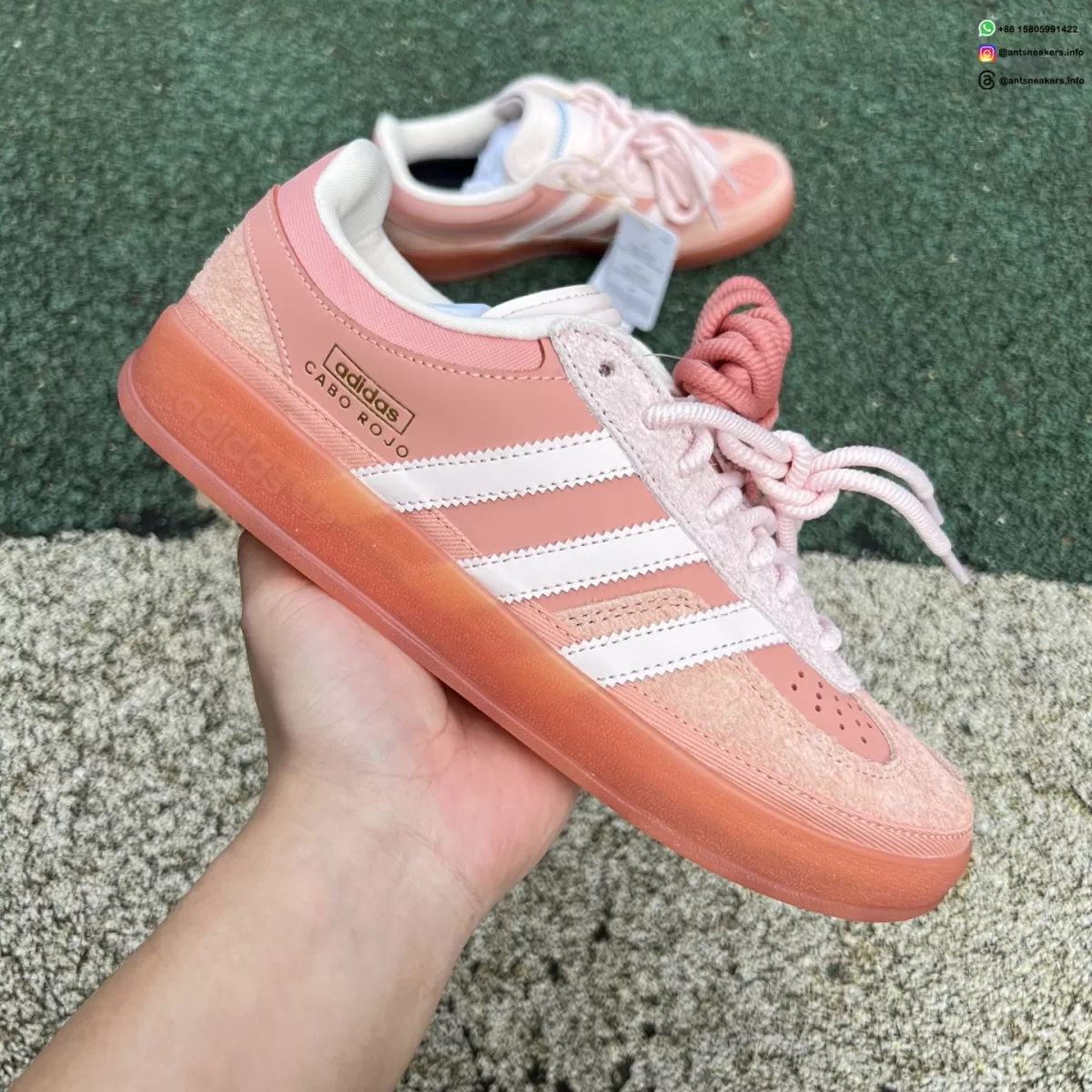 Bad Bunny x Gazelle Indoor 'Cabo Rojo' JS5052