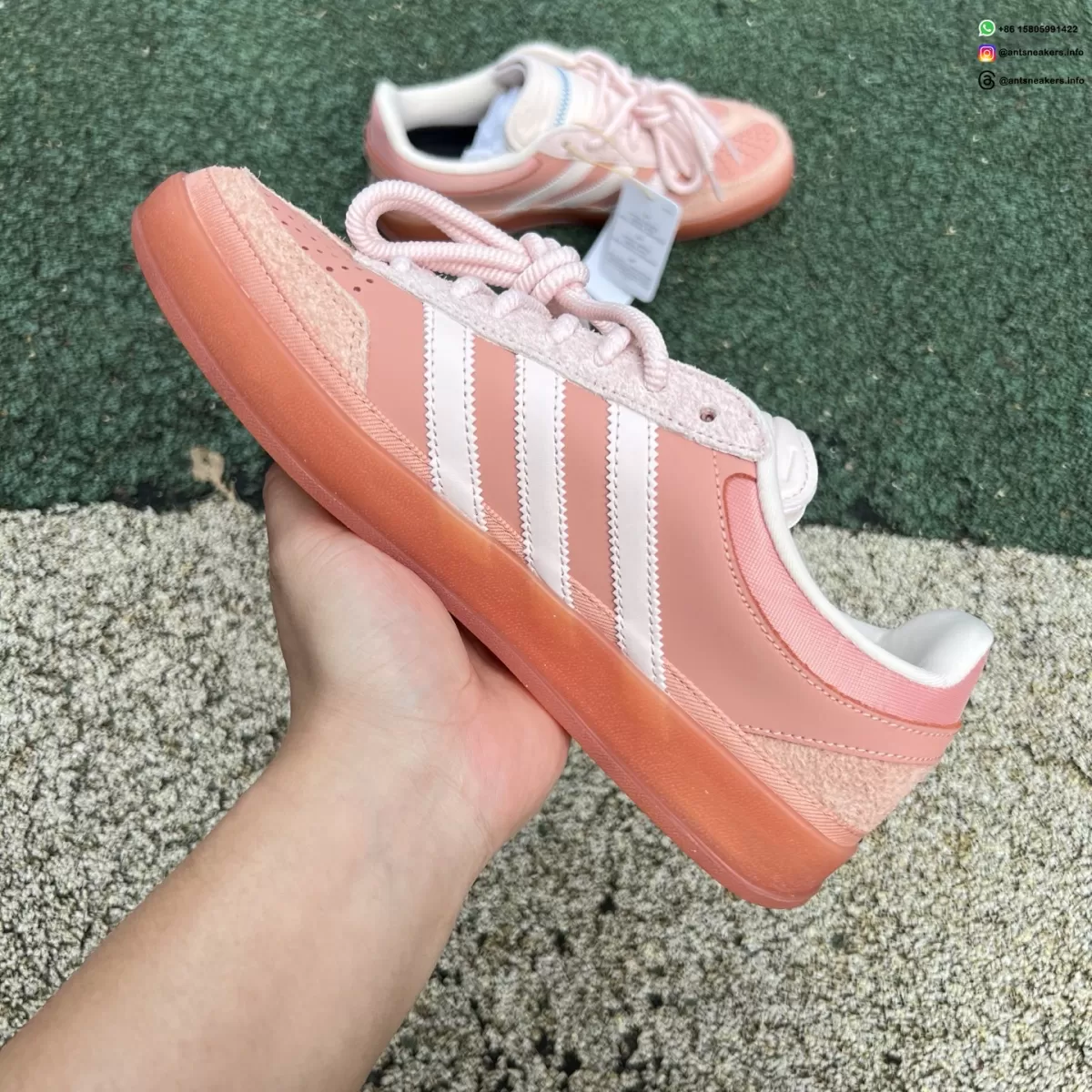 Bad Bunny x Gazelle Indoor 'Cabo Rojo' JS5052