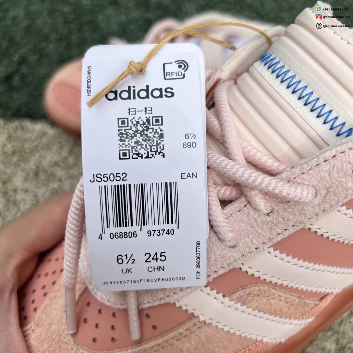 Bad Bunny x Gazelle Indoor 'Cabo Rojo' JS5052