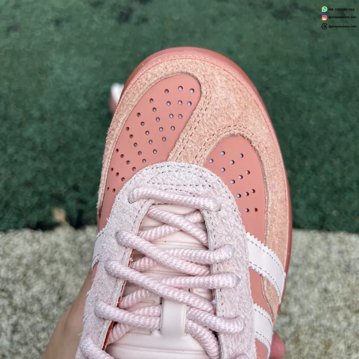 Bad Bunny x Gazelle Indoor 'Cabo Rojo' JS5052