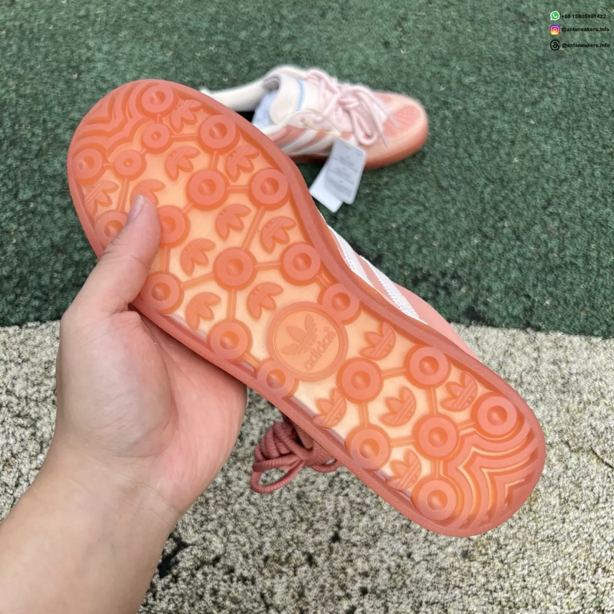 Bad Bunny x Gazelle Indoor 'Cabo Rojo' JS5052