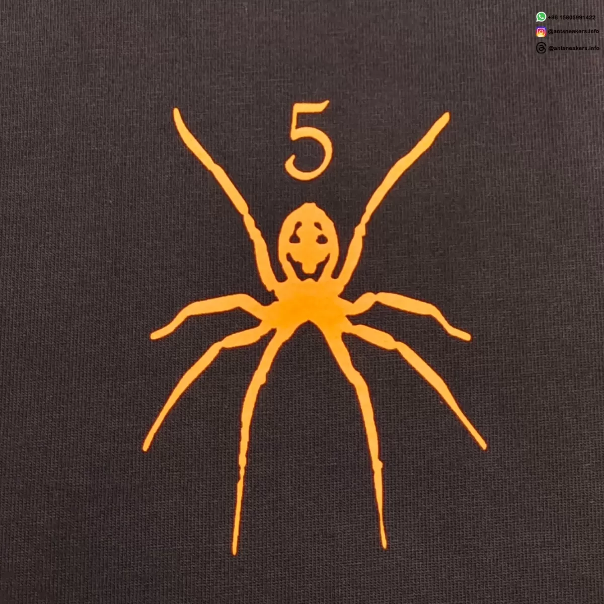 Sp5der Small Spider Brown Tee Streetwear Running Shoes