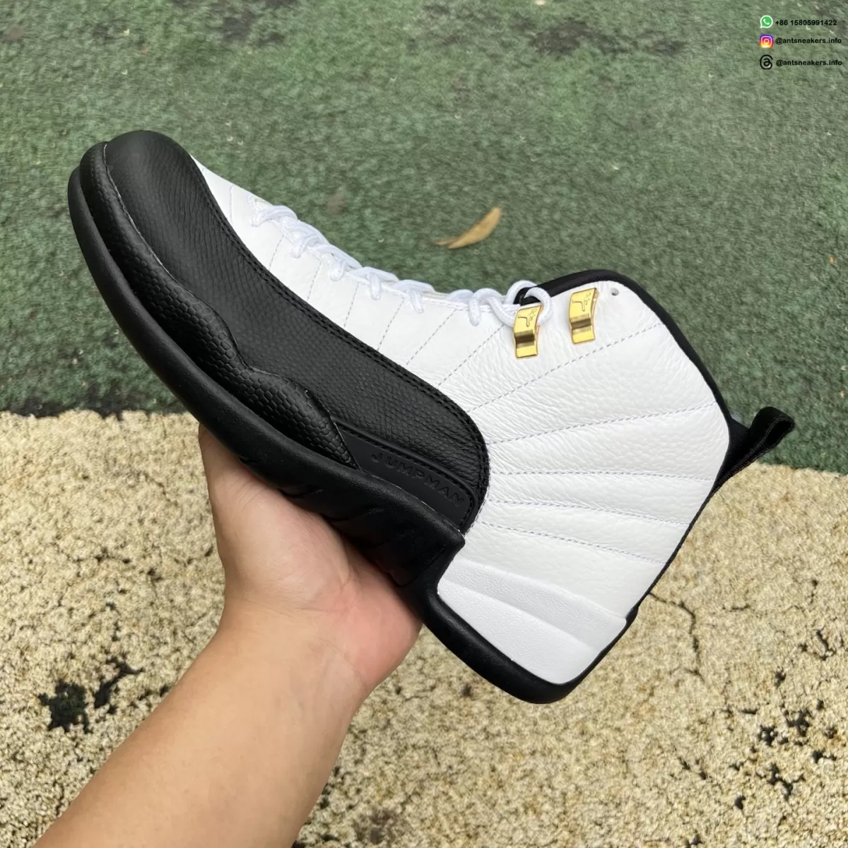 Air Jordan 12 Retro 'Taxi' 2025 CT8013-117