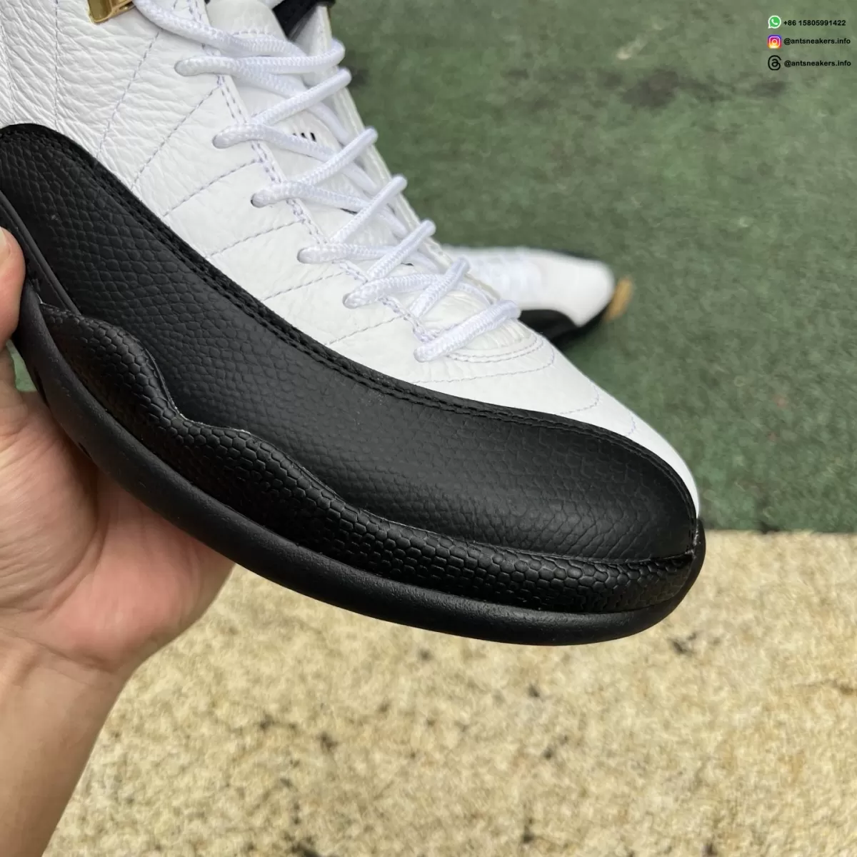 Air Jordan 12 Retro 'Taxi' 2025 CT8013-117